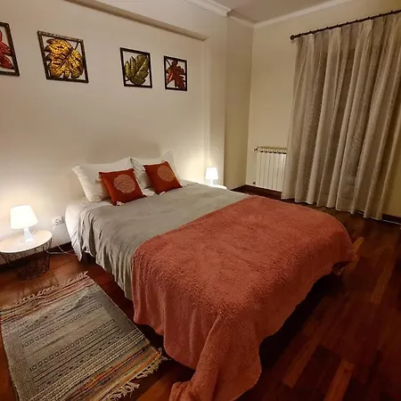 Apartament Casa Hintze Ribeiro *
